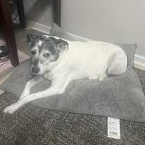 Thumbnail photo of Mizzie #1