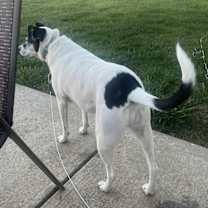 Thumbnail photo of Mizzie #2