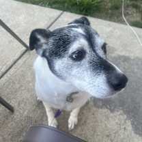 Thumbnail photo of Mizzie #3