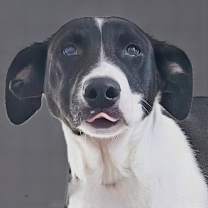 Thumbnail photo of Elf #3