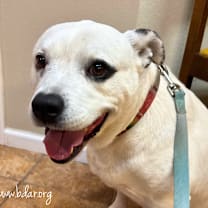 Thumbnail photo of Tennessee  #2