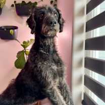 Thumbnail photo of Patricia #1