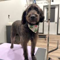 Thumbnail photo of Patricia #2