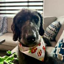 Thumbnail photo of Patricia #3