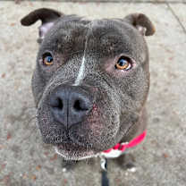 Thumbnail photo of Nice Guy #2