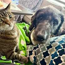 Thumbnail photo of Patricia #4