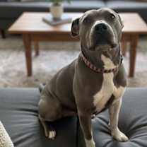 Thumbnail photo of Precious  #4