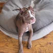 Thumbnail photo of Cozy #1