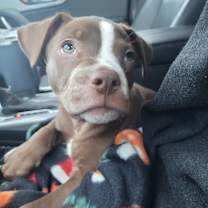 Thumbnail photo of Cozy #2