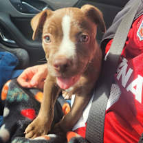 Thumbnail photo of Cozy #3