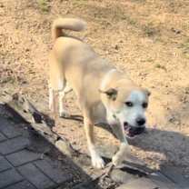 Thumbnail photo of Noah #4