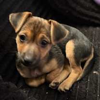 Thumbnail photo of China #1