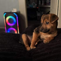 Thumbnail photo of China #2