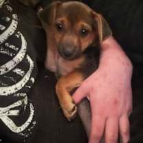 Thumbnail photo of China #3