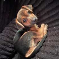 Thumbnail photo of China #4