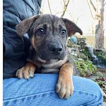 Thumbnail photo of Randy #2