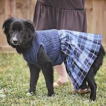 Thumbnail photo of Rory #2