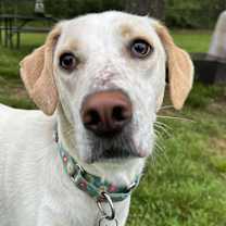 Thumbnail photo of Stella #1