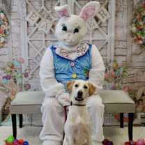 Thumbnail photo of Stella #4