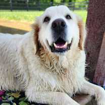 Thumbnail photo of Heidi #1