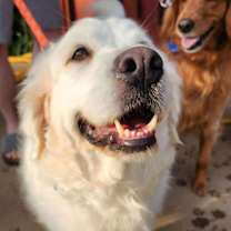 Thumbnail photo of Heidi #2