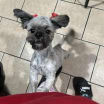 Thumbnail photo of Kori #1