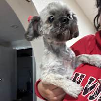 Thumbnail photo of Kori #3