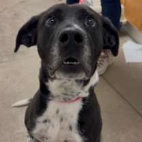 Thumbnail photo of Jackson #1