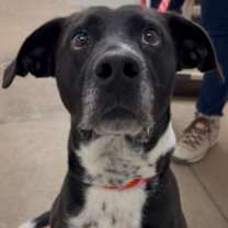 Thumbnail photo of Jackson #3