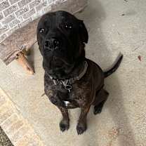 Thumbnail photo of Kenai #3