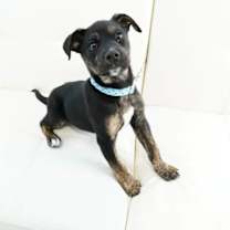 Thumbnail photo of Richie #1