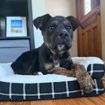 Thumbnail photo of Richie #2