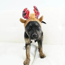 Thumbnail photo of Richie #3