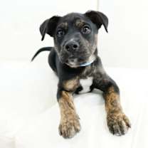 Thumbnail photo of Richie #4