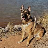 Thumbnail photo of Liam #1