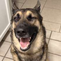 Thumbnail photo of Liam #3