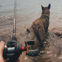 Thumbnail photo of Liam #4