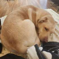 Thumbnail photo of Ella #2