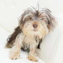 Thumbnail photo of Tot #1