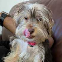 Thumbnail photo of Tot #3