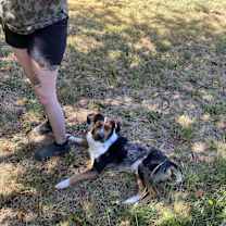 Thumbnail photo of Cooper #3