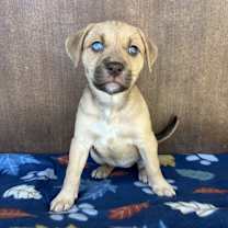 Thumbnail photo of Riley #3