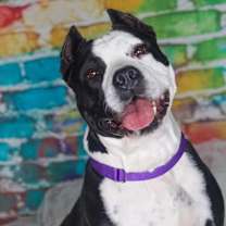 Thumbnail photo of Hope #1