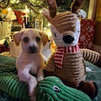 Thumbnail photo of Flint #4