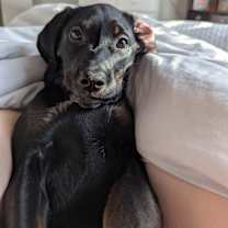 Thumbnail photo of Lady #1