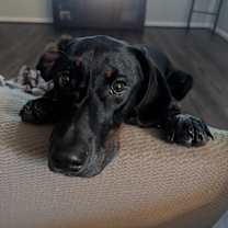 Thumbnail photo of Lady #2