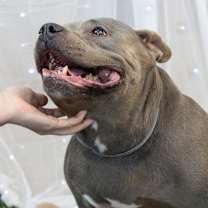 Thumbnail photo of Maggie #4