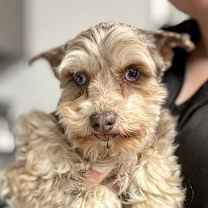 Thumbnail photo of Mazie #3