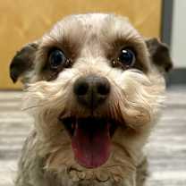 Thumbnail photo of Mazie #4