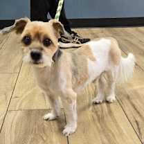 Thumbnail photo of Bubbles #1